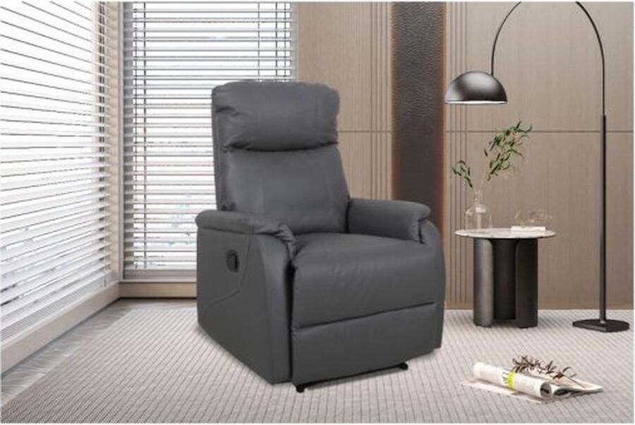 ZAZA Home Relax Fauteuil 'Tokio' manueel verstelbaar PU Grijs Poten metaal en bekleding PU Max. 110 kg