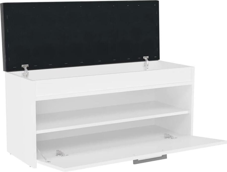 Functionele schoenenkast met zitvlak 100 x 35 x 49 cm ideale ruimtebesparende oplossing voor hal woonkamer en slaapkamer (wit)
