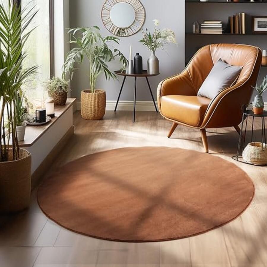 Rond Bruin Kortpolig Tapijt Moderne Monochrome Vloerkleden 160 cm