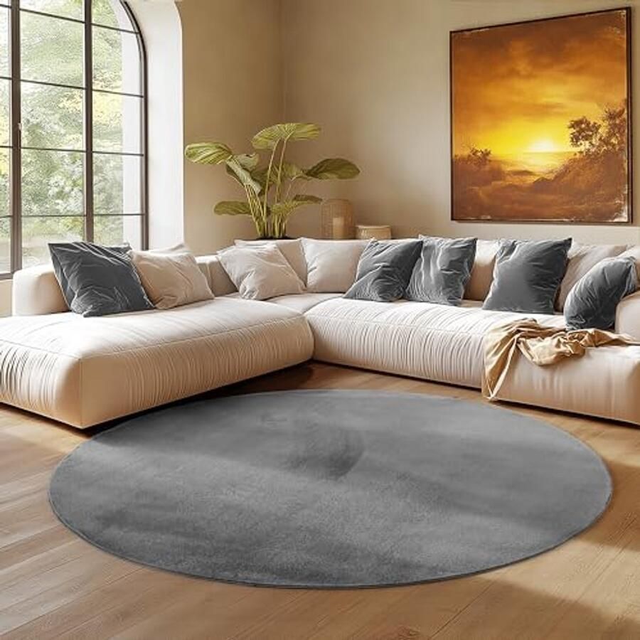 Rond Grijs Vloerkleed 160 cm Antislip Wasbaar en Zacht voor Woonkamer en Slaapkamer