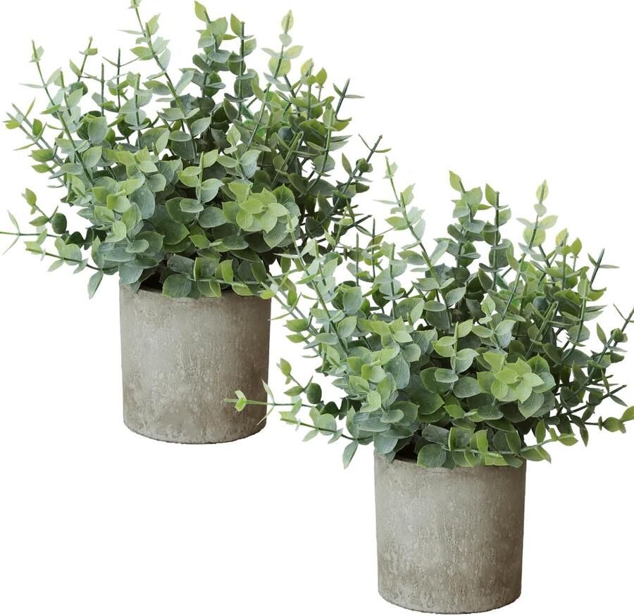 Roqueen 2 stuks kleine kunstmatige eucalyptusplanten in potten mini-kunstplanten van plastic voor op een plank bureau thuiskantoor badkamer boerderijkamer decoratie (groen)