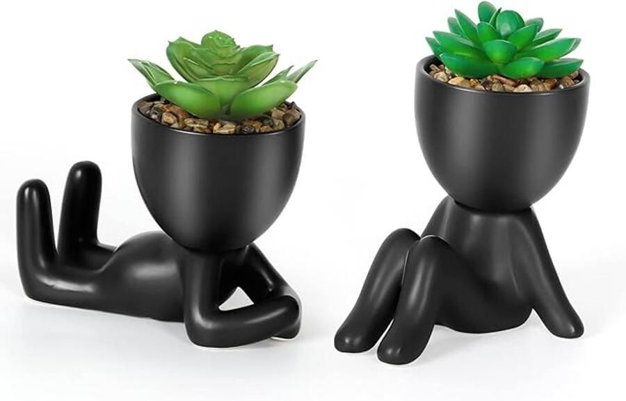 S&Dshopline 2 stuks kunstplant met zwarte keramische pot kunstvetplanten mini-kunstplanten namaakplanten decoratieve planten voor badkamer esthetisch rek tafeldecoratie boekenkast