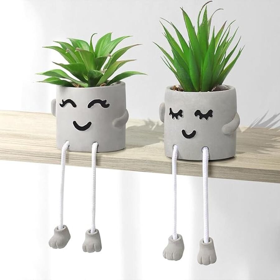 S&Dshopline Set van 2 kunstplanten in pot mini-kunstplant nepvetplanten met hangende poten emotioneel cement potplant faux decoratieve plant voor thuis kantoor tafeldecoratie boekenkast