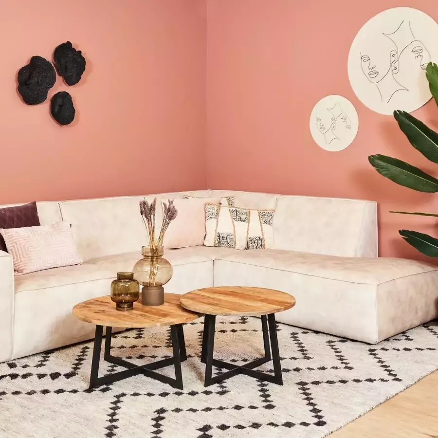 Salontafel Mees set van 2 salontafels industrieel ronde salontafels