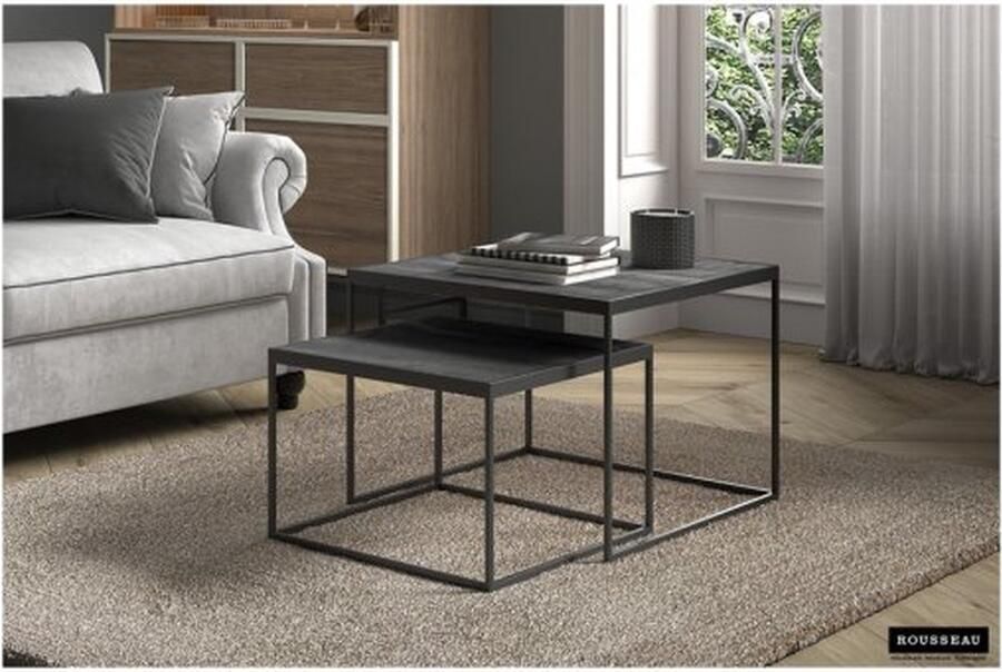 ZAZA Home Salontafel 'Quinn' 2-delig Zwart Structuur metaal blad exotisch hout mangolia