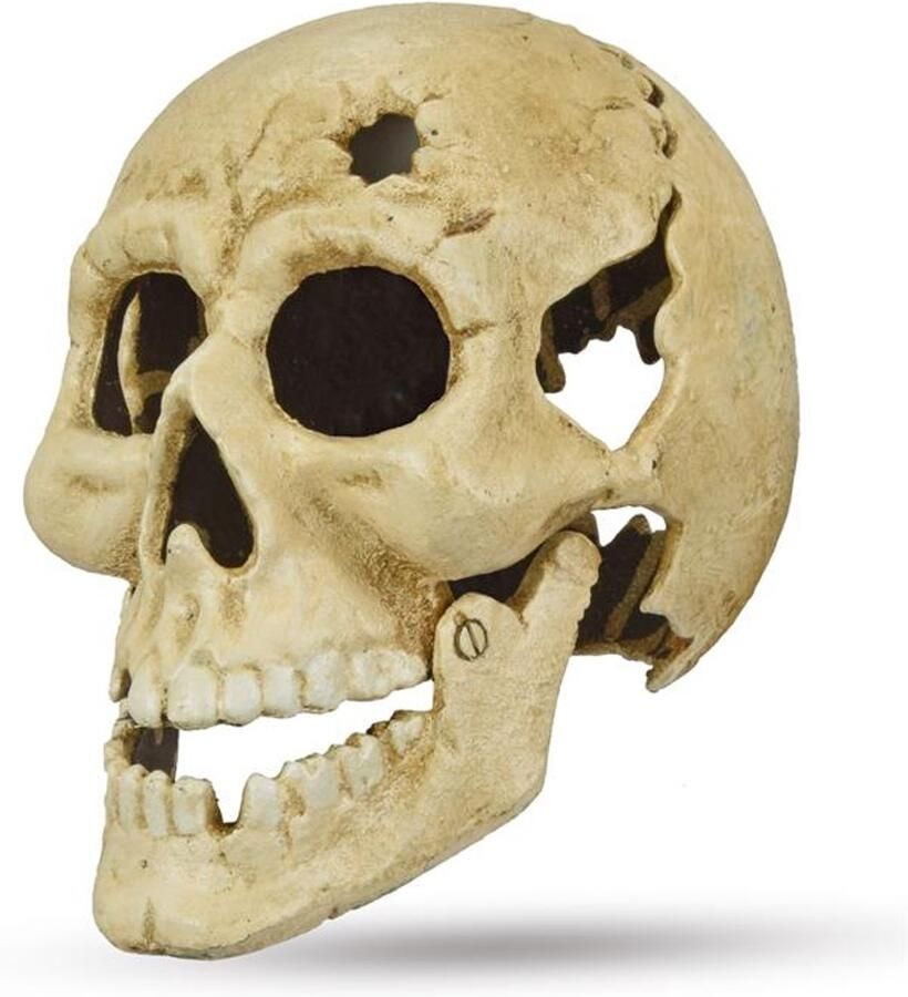 Schedel beeld gietijzer wit – decoratieve skull van zwaar gietijzer – stoere industriële woondecoratie voor bureau woonkamer of kantoor – uniek design