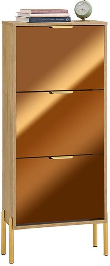 Schoen opbergkast schoenorganisator schoenenrek gouden glazen deuren metalen poten stabiel ontwerp 55x124x24cm