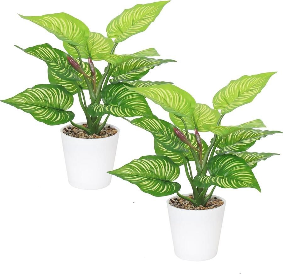 Schoenenrek met 4 etages Robuust Draagbaar en Multifunctioneel voor Slaapkamer en Hal