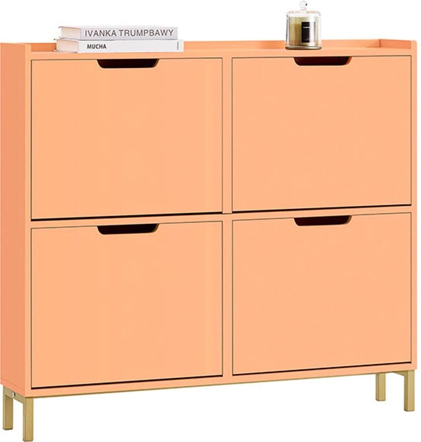 Schoenkast Schoenenorganisator Opslageenheid Compact ontwerp stalen frame 100x90x19cm voor stabiliteit en gemak