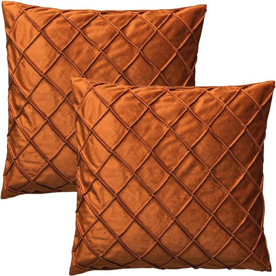 Set van 2 fluwelen kussenslopen Decoratieve kussenovertrekken voor Bank en Lendensteun (43 x 43 cm)