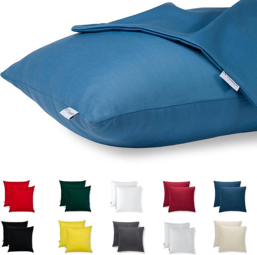 Set van 2 kussenhoezen 65 x 65 cm Microvezel Premium Decoratie voor Bed Sofa Superzacht Duurzaam Hypoallergeen materiaal Anti-stofmijt Ademend met verborgen rits Volledig wasbaar