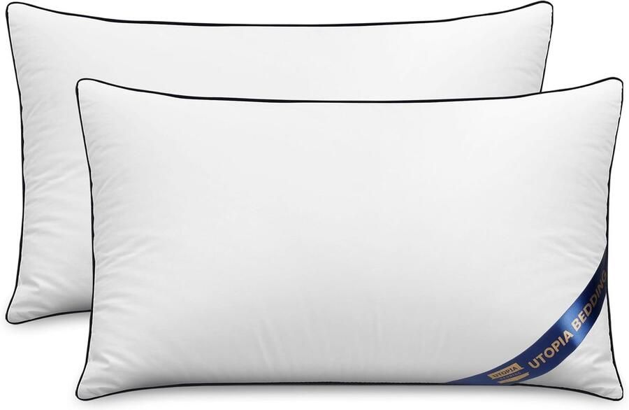 Set van 2 Kussens 30 x 50 cm Comfortabele Sierkussens voor Bed en Bank