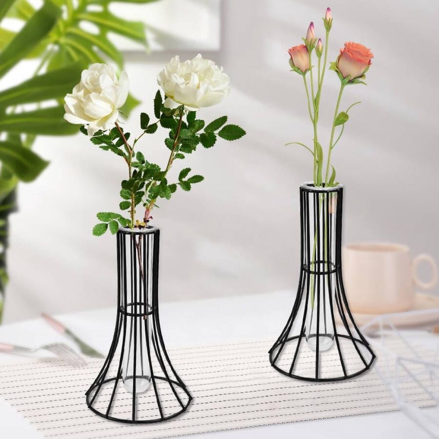 Set van 2 minivazen zwart metalen glazen vaas reageerbuizen glazen vaas moderne kleine vazen bloemenvaas glazen vazen met metalen frame zwarte glazen vaas reageerbuisvaas voor bruiloft tafel