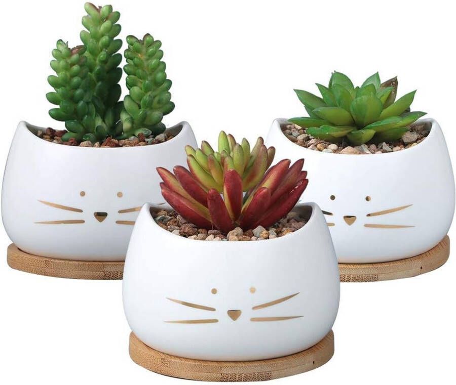 Set van 3 kleine bloempotten witte kat keramische bloempotten + 3 houten potten Ideale Cactus Op Het Bureau Buiten binnen raamrand Decoratie Verjaardagscadeau Bonsai schaal