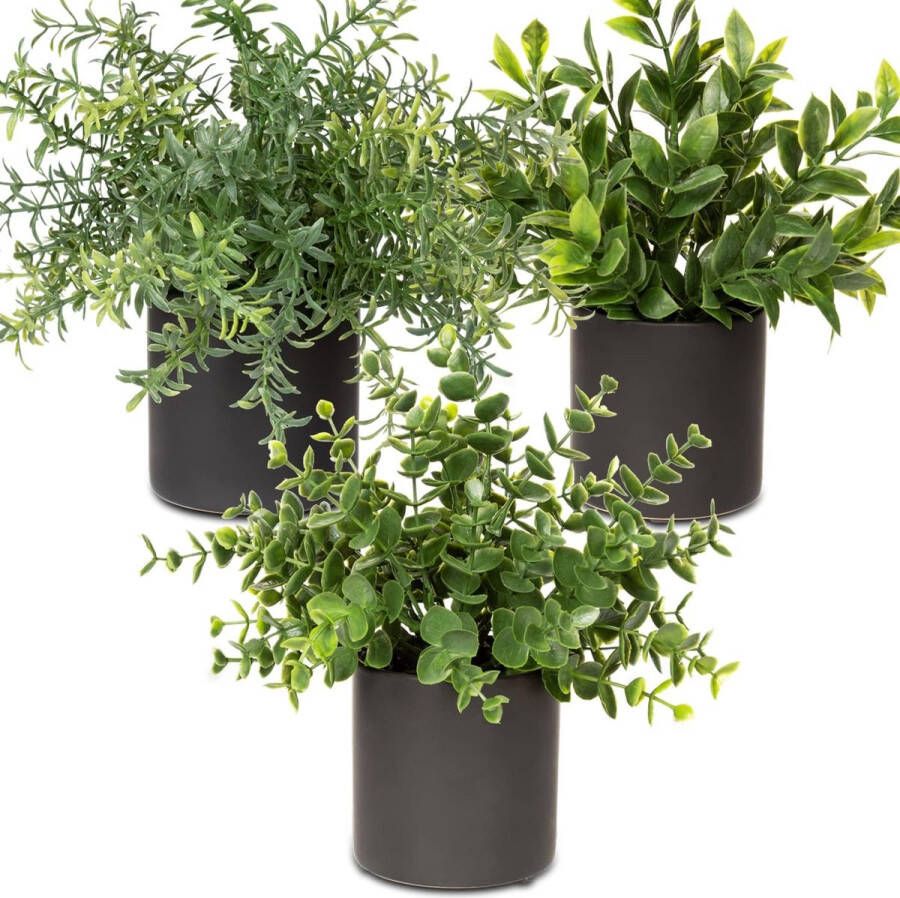 Set van 3 kunstplanten in pot kunstplanten als echt met keramische pot eucalyptus mini kunstmatige rozemarijnplant voor decoratie woonkamer kamer tafeldecoratie badkamer bureau keuken tuin decoratie