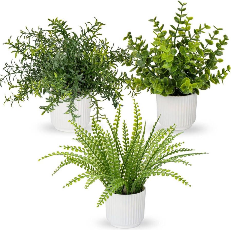 Set van 3 kunstplanten in pot kunstplanten zoals echte eucalyptus mini-kunstrozemarijn kunstvarenplant voor decoratie woonkamer tafeldecoratie badkamer bureau