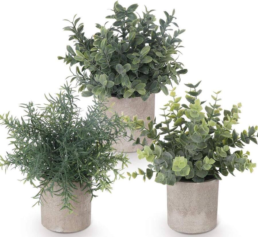 Set van 3 Mini Kunstplanten Plastic Eucalyptus Planten Faux Rosemary Planten voor Thuis Tuin Bureau Douchekamer Binnen en Buiten Decoratie