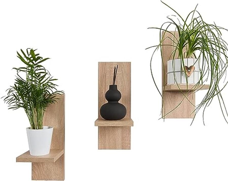 Set van 3 stijlvolle houten wandplanken voor planten en wanddecoratie