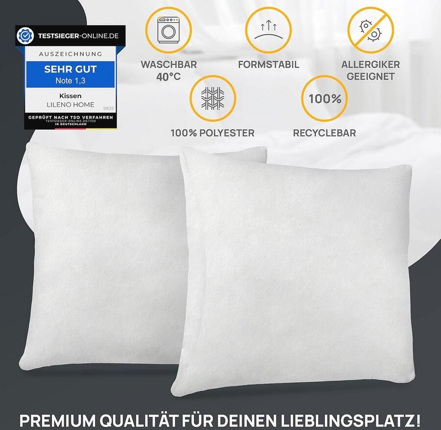 Set van 4 Wasbare Kussenvullingen 30x30 cm Allergievriendelijk Polyester Kussen voor Bank en Sofa - Foto 2