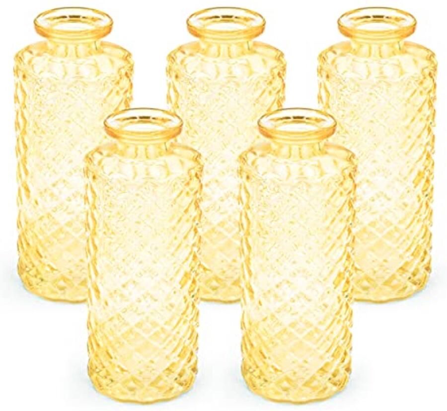 Set van 5 Kleine Glazen Vazen voor Bruiloft Decoratie Lente Trockenbloemen en Eucalyptus Tafel Vazen