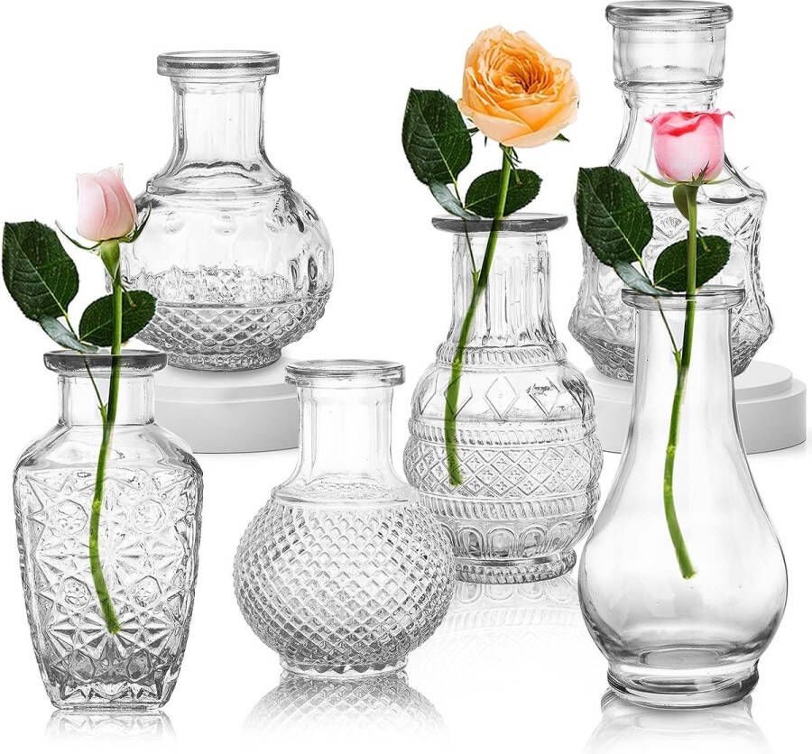 Set van 6 glazen vazen 6 unieke vintage stijlen mini bloemenvazen ​​op tafel decoratieve transparante vazen ​​voor centerpieces woondecoratie evenementen woonkamer