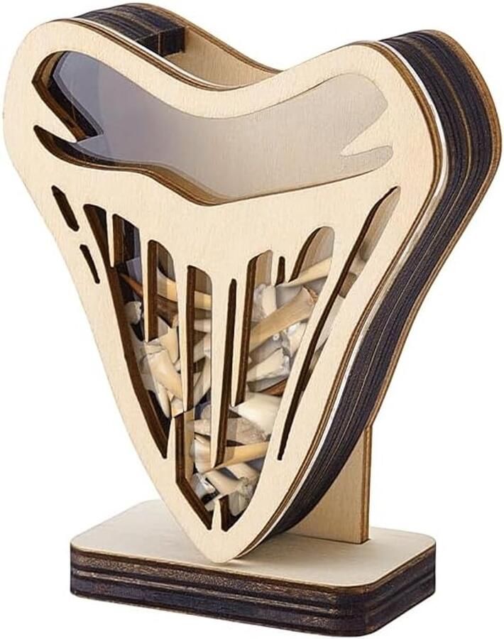 Shark Teeth Display Cabinet 4.2x3.5 inches Houten Shadow Box met Duidelijk Venster Houten Houder Display Box voor Feestdagen Kust Strand Kamer Slaapkamer Huisdecoratie