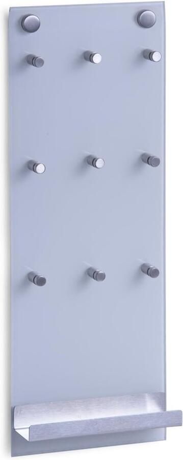 Sleutelbord van Glas met Roestvrijstalen Legplank en 9 Haken