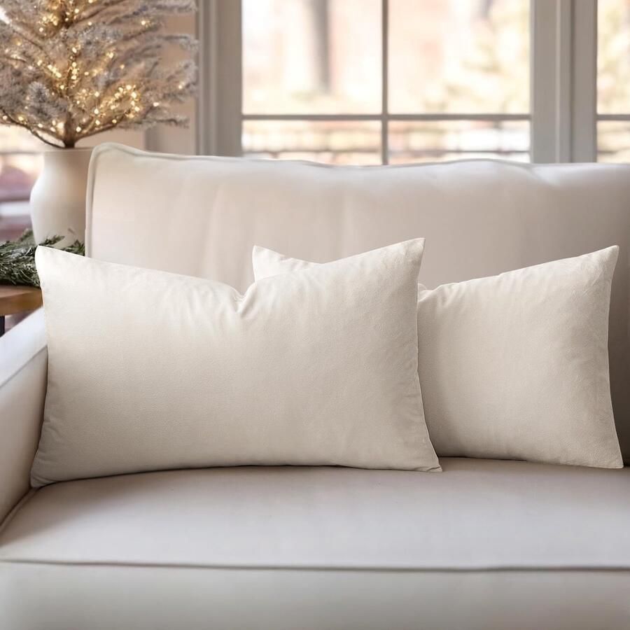 Slozzi Set van 2 fluwelen kussenhoezen sierkussen voor huishoudelijk gebruik decoratieve kussenhoes zacht bankkussen voor bank slaapkamer woonkamer 30 x 50 cm crèmewit