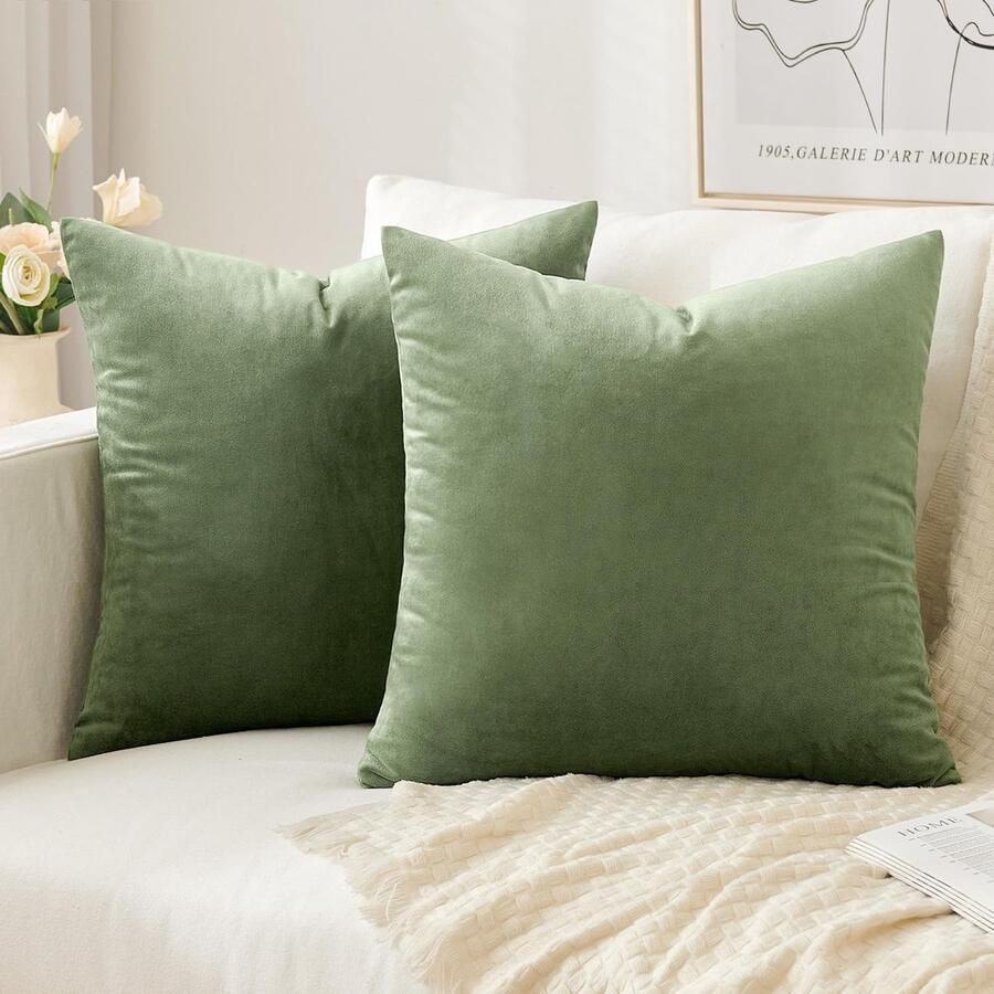 Slozzi Set van 2 fluwelen kussenhoezen sierkussen voor huishoudelijk gebruik decoratieve kussenhoes zacht bankkussen voor bank slaapkamer woonkamer 50x50 cm groen