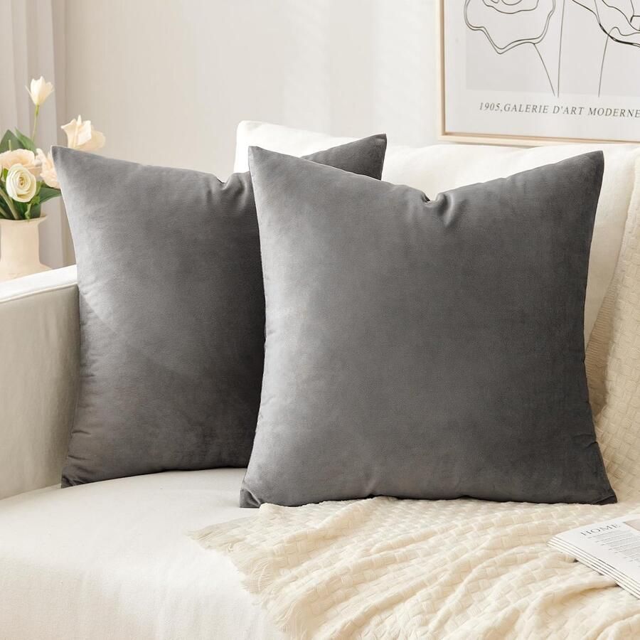 Slozzi Set van 2 fluwelen kussenhoezen sierkussen voor huishoudelijk gebruik decoratieve kussenhoes zacht bankkussen voor bank slaapkamer woonkamer 40 x 40 cm grijs