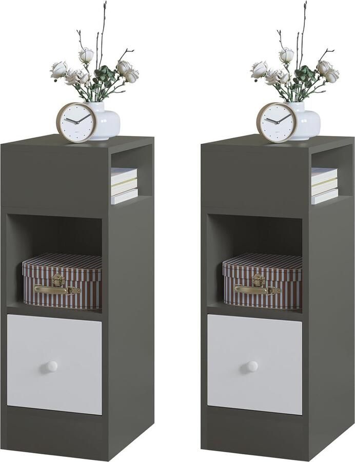 Smal Nachtkastje met 2 Vakken en Lade Ruimtebesparend Meubel voor Slaapkamer en Woonkamer 25 x 30 x 66 cm