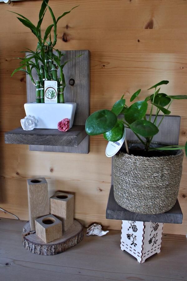 Steigerhouten wandplank Set van 2 stuks Oud grijs Inclusief ophangbevestiging