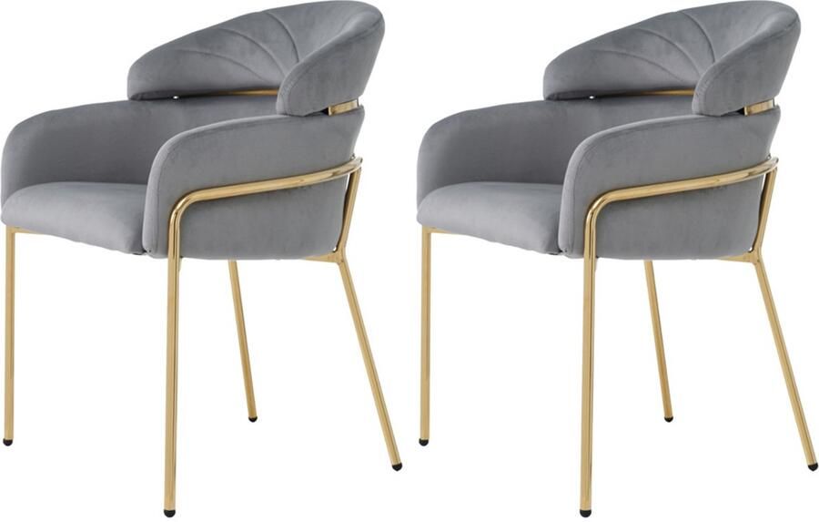 Stoelen 2-delig Set Eetkamerstoelen Lounge Stoelen Multifunctionele Stoelen Met armleuningen en hoge rugleuning Huidvriendelijke zachte stof Stevig metalen frame Grijs