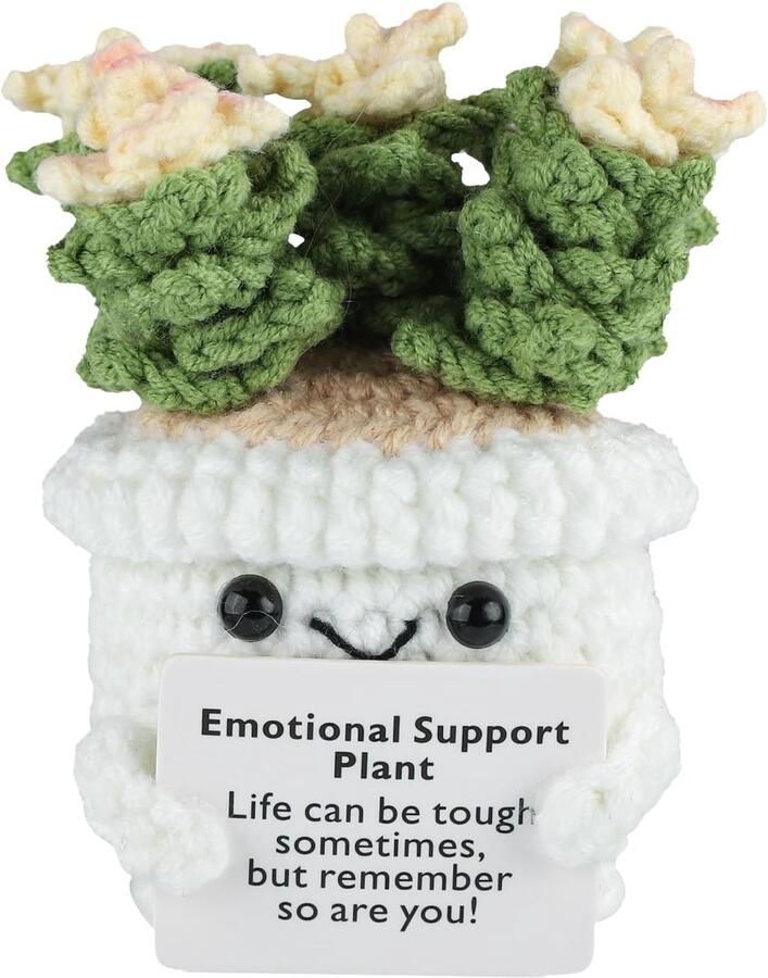Succulent Haakwerk Schattige Mini Positieve Haak Succulent Dieren Positief Leven Geschenken voor Thuis en Kantoor Bureau