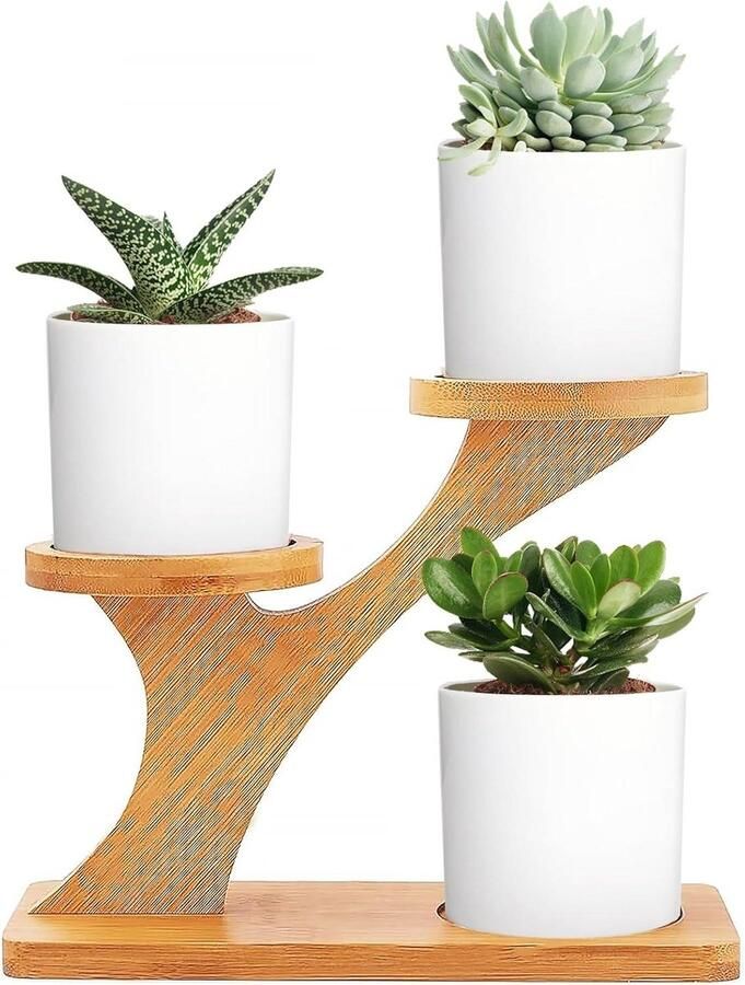 Nordivar Succulent Planten Potten Set van 3 met Houten Standaard en Bamboe Dienblad voor Thuis of Kantoor Decoratie voor Vensterbank of Bureau