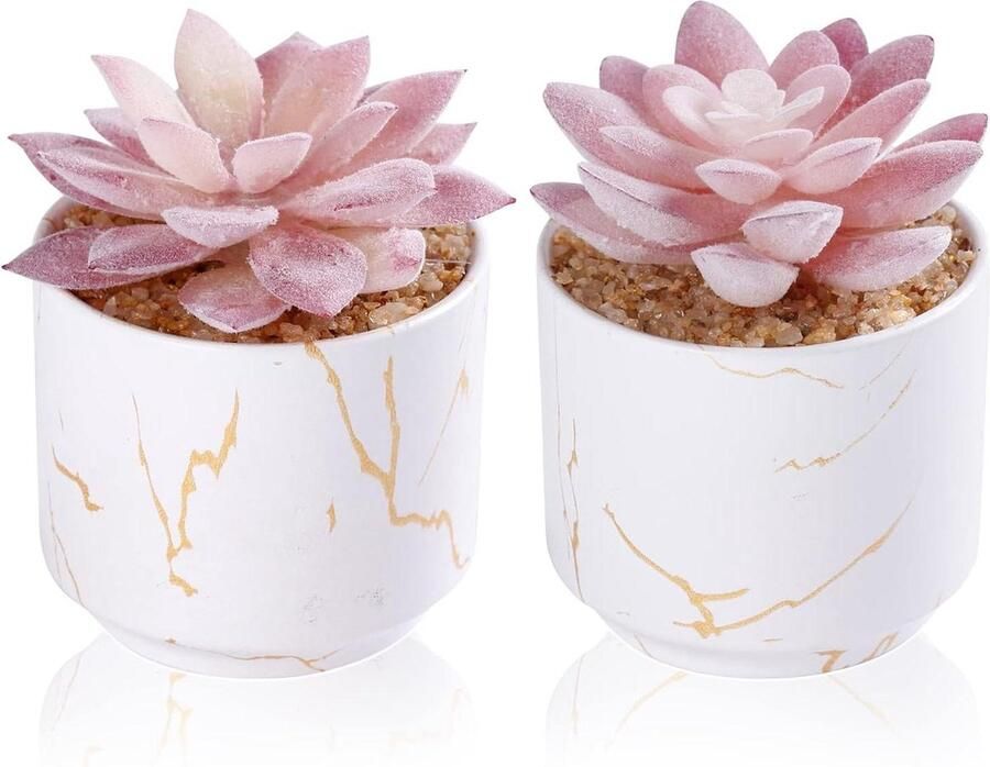 Succulente nepvetplanten in 2 witte keramische potten voor kantoor tafel bureau decor esthetische kamerplanken vrouwen decoratie preppy room decor
