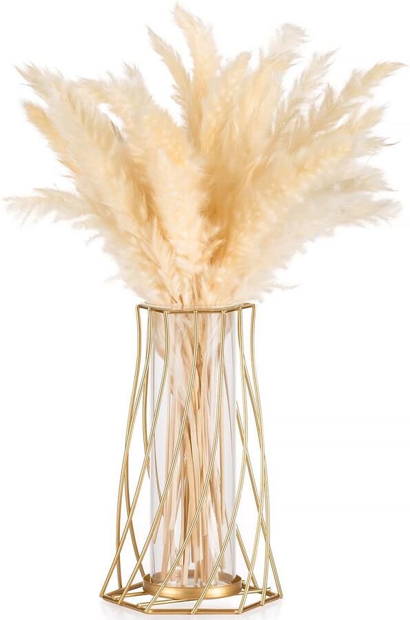 Sziqiqi gouden vaas voor pampasgras kleine moderne bloemenvaas vazendecoratie voor tafeldecoratie metalen tulpenvaas glazen vaas reageerbuisvaas van glas voor woonkamer bruiloftstafel plank badkamer eettafel raam