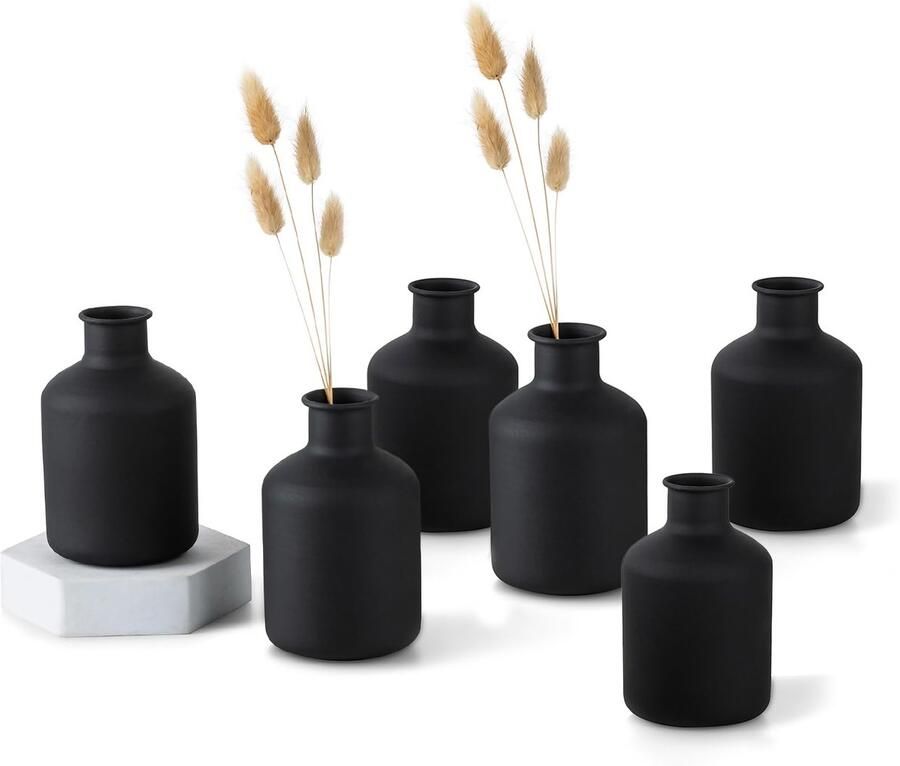 Sziqiqi Kleine Zwarte Knop Vazen: Metalen Mini Bloemenvaas Set van 6 Decoratieve Cilinder Vazen voor Gedroogde Bloemen Moderne Matte Bloemenvaas voor Woonkamer Eettafel Keuken Badkamer Slaapkamer