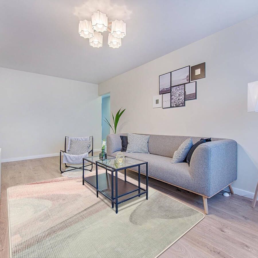 Tapijt imitatie kasjmier tapijt moderne woonkamer slaapkamer gang tapijt zacht antislip binnentapijt wasbaar abstract (grijs roze 120 x 160 cm)