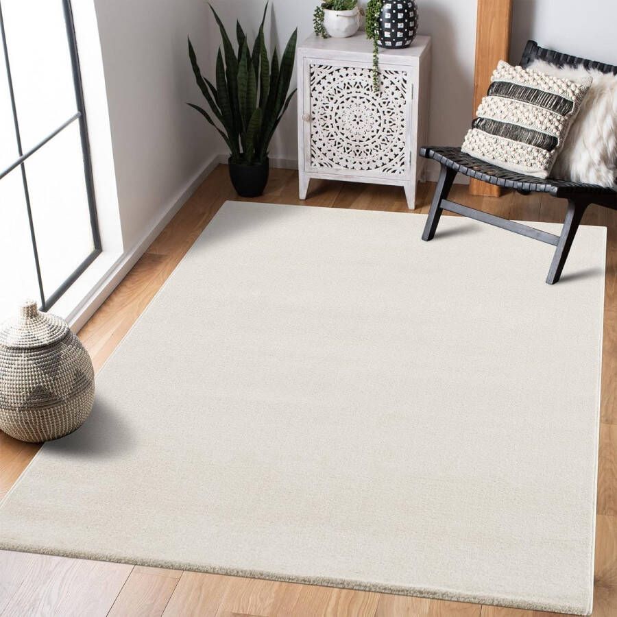 Tapijt super zacht pluizig antislip -Comfortabel ontwerp \ Living room rug carpets 120 x 170 cm