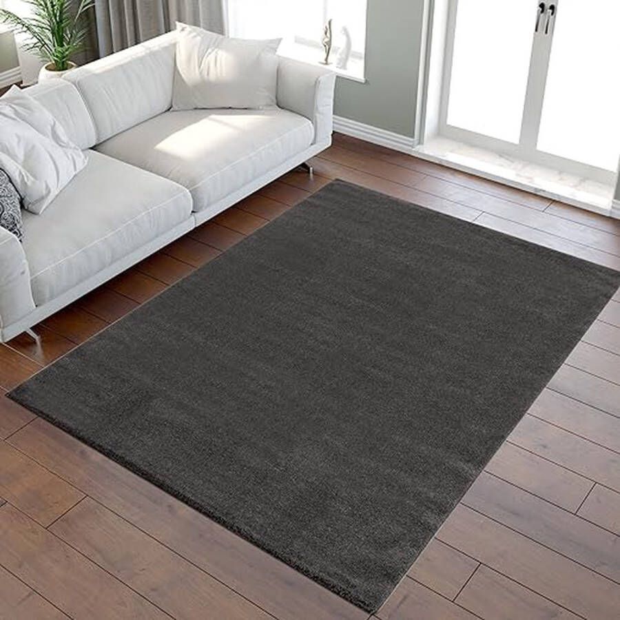 Tapijt super zacht pluizig antislip -Comfortabel ontwerp \ Living room rug carpets 140 x 200 cm