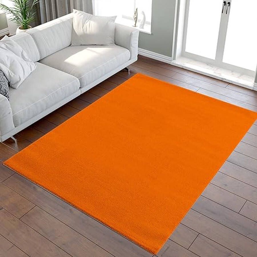 tapijt super zacht pluizig antislip -Comfortabel ontwerp \ Living room rug carpets