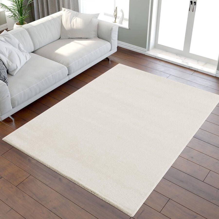 tapijt super zacht pluizig antislip -Comfortabel ontwerp \ Living room rug carpets 80 x 200 cm