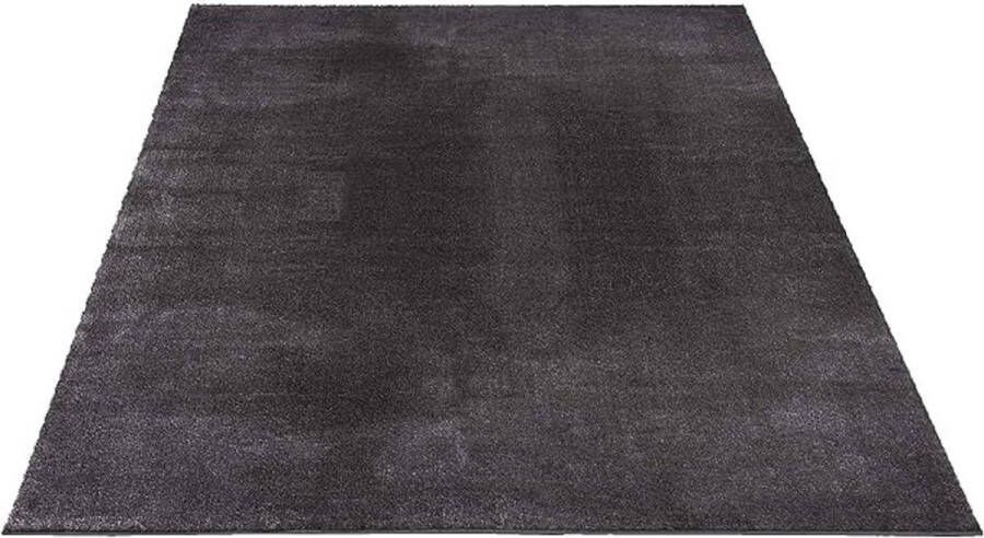 Tapijt voor woonkamer Eenkleurig Wasbaar Zacht Vloerkleed voor binnen 120 x 170 cm
