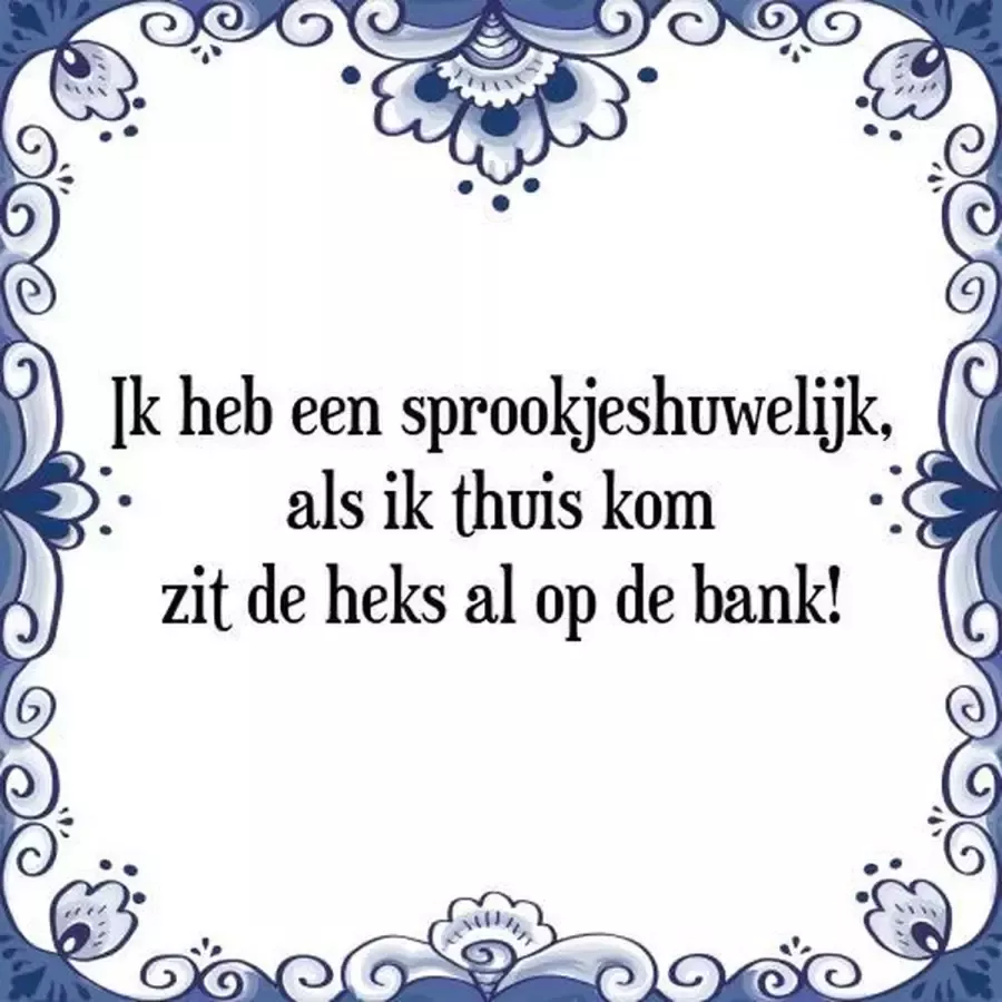 Tegeltje met Spreuk (Tegeltjeswijsheid): Ik heb een sprookjeshuwelijk als ik thuis kom zit de heks al op de bank! + Kado verpakking & Plakhanger