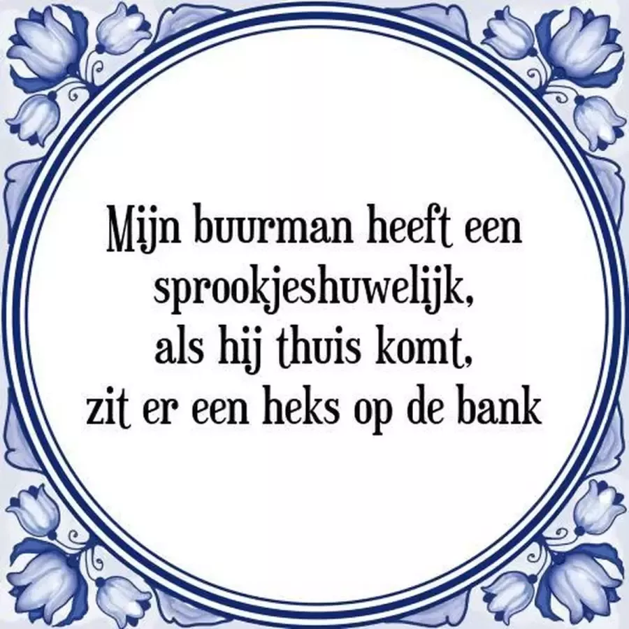 Tegeltje met Spreuk (Tegeltjeswijsheid): Mijn buurman heeft een sprookjeshuwelijk als hij thuis komt zit er een heks op de bank + Kado verpakking & Plakhanger