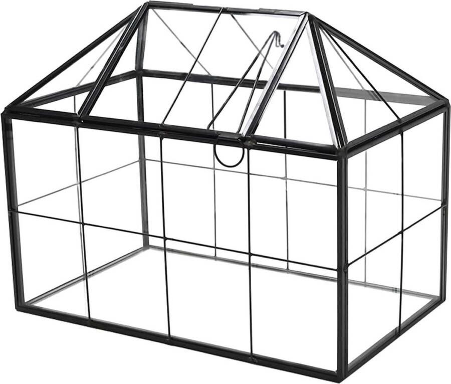 Terrarium mini-broeikas glas geometrische plant terrarium vetplanten luchtplantenpot met klapdeksel voor thuis tuin kantoor decoratie