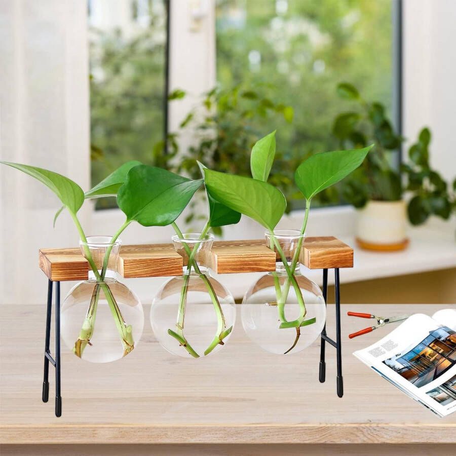 Test Tube Vase Hydroponics Vase Hanging Vase Flower Vase Table Vase Air Plants Terrarium Desk Decorative Vase with Wooden Holder Glass Plant for Office Home Garden Decoration 3 Vases