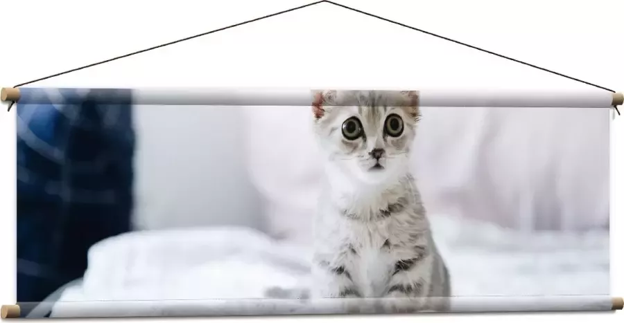 Textielposter Grijze Kitten met Donkere Contouren op Lichaam Zittend op Bed 120x40 cm Foto op Textiel