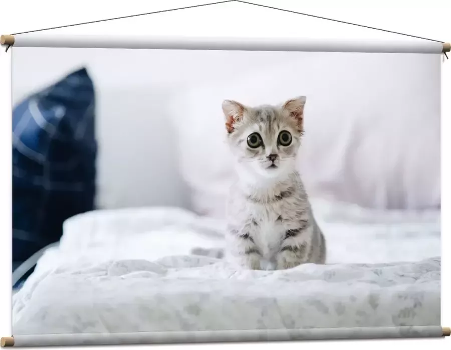 Textielposter Grijze Kitten met Donkere Contouren op Lichaam Zittend op Bed 120x80 cm Foto op Textiel